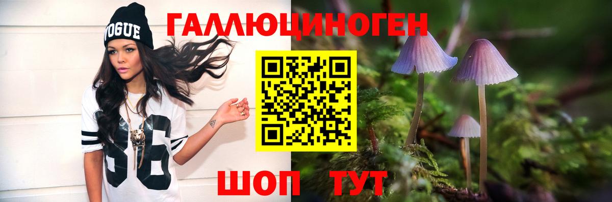 цены   Псилоцибиновые грибы прущие грибы  Белово  Вход с VPN  Галлюциногенные грибы прущие грибы 